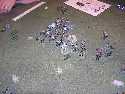 2005 Gateway Saturday LOTR - 08