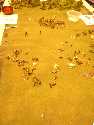 2005 Gateway Saturday LOTR - 21