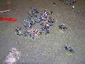 2005 Gateway Saturday LOTR - 22
