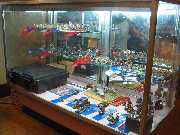 Painting Contest Display - 2