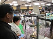 Filename=IMG_0600.JPG
Filesize=756KiB
Dimensions=1824x1368
Date added=Sep 26, 2016 IMG_0600.JPG