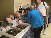 Filename=IMG_7076.JPG
Filesize=683KiB
Dimensions=1824x1368
Date added=Aug 06, 2018 IMG_7076.JPG