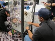 Filename=IMG_7202.JPG
Filesize=671KiB
Dimensions=1824x1368
Date added=Aug 06, 2018 IMG_7202.JPG
